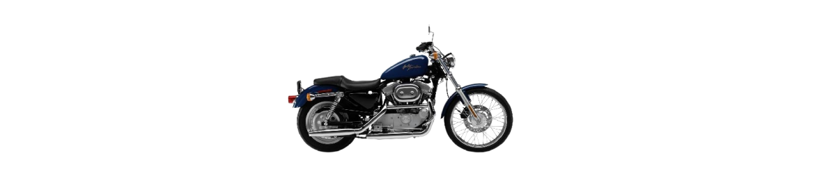 883 XL Sportster Roadster XL R (2014-2020)