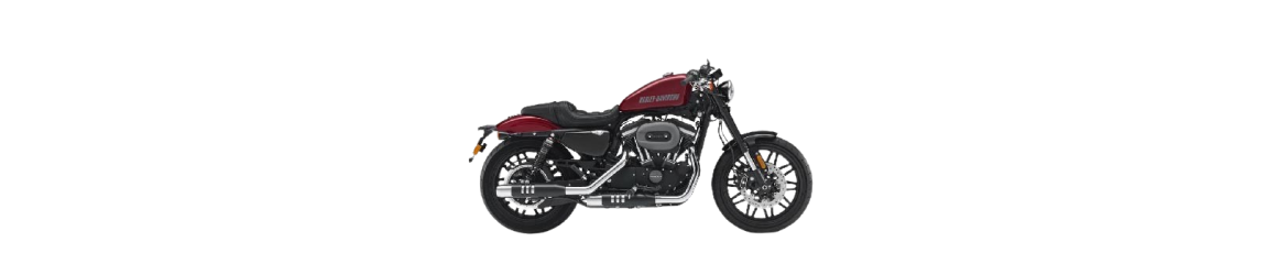 1200 Sportster Roadster XL CX (2016-2020)