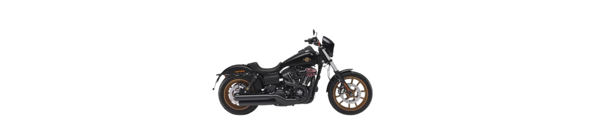 110ci Dyna Low Rider S FXDLS (2016-2017)