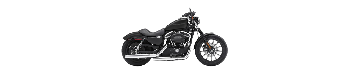 883 XL Sportster Iron N (2010-2020)