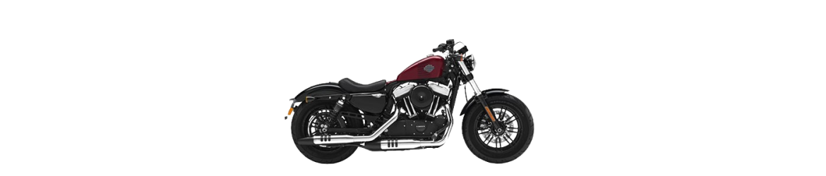 1200 Sportster Forty Eight XLX (2009-2020)