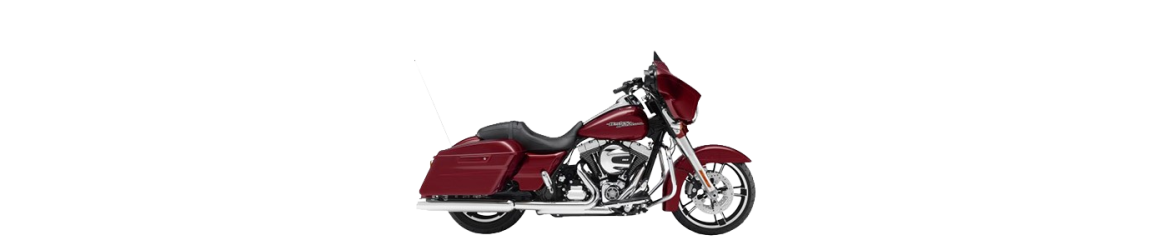 103ci Street Glide Special FLHXS (2015-2016)