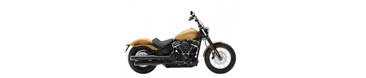 1750 Softail Street Bob FXBB (107 cubic inches) (2018-2020)