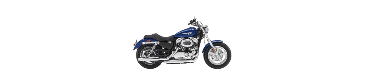 1200 Sportster Custom XLC (1981-2020)