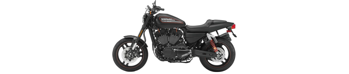 XR 1200 Sportster X  (2010-2012)