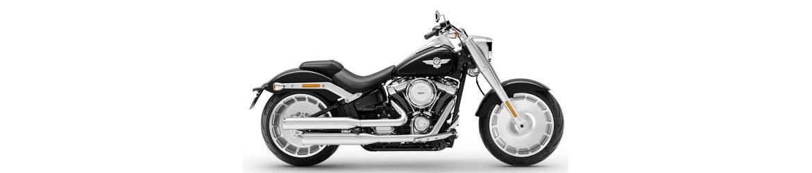 1750 Softail Fat Boy FLSTF (107 cubic inches) (2018-2021)