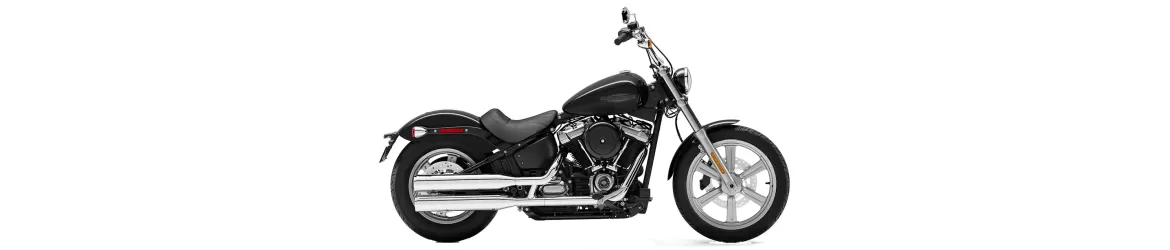 107 Softail Standard FXST (2020-2024)