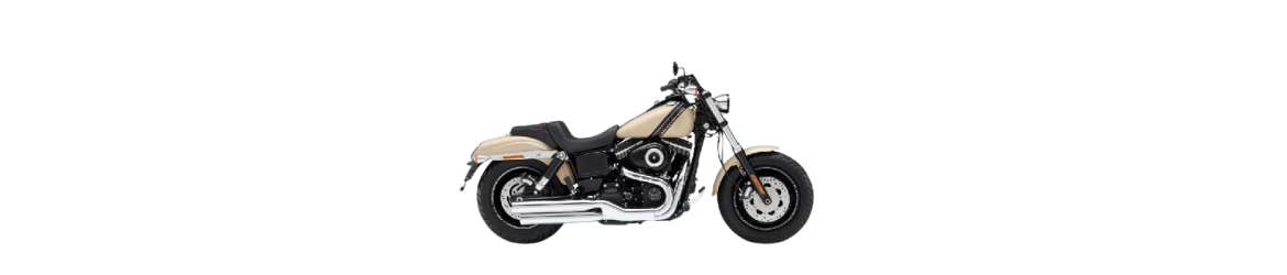 1584 Dyna Fat Bob FXDF (96 cubic inches) (2008-2013)