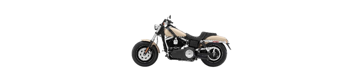 103ci Dyna Fat Bob FXDF (2013-2017)