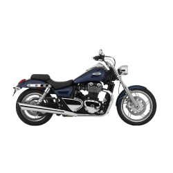 1600 Thunderbird (2009-2014)
