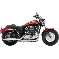 XL 1200 C Sportster Custom (2005-2020)